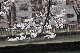 image0248
