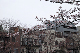 image0250