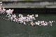 image0252