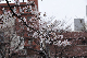 image0253