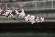 image0254