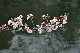 image0255