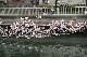 image0256