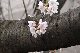 image0262