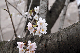 image0263