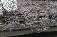 image0264