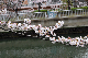 image0265