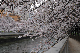 image0267