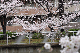 image0269