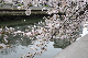 image0272