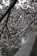 image0273
