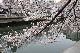 image0274
