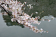 image0276