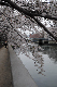 image0277