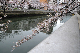 image0278