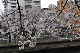 image0280