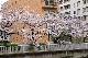 image0281