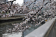 image0282