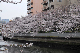 image0287
