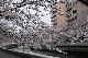 image0289