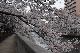 image0295