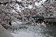 image0297