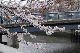 image0300