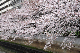 image0309