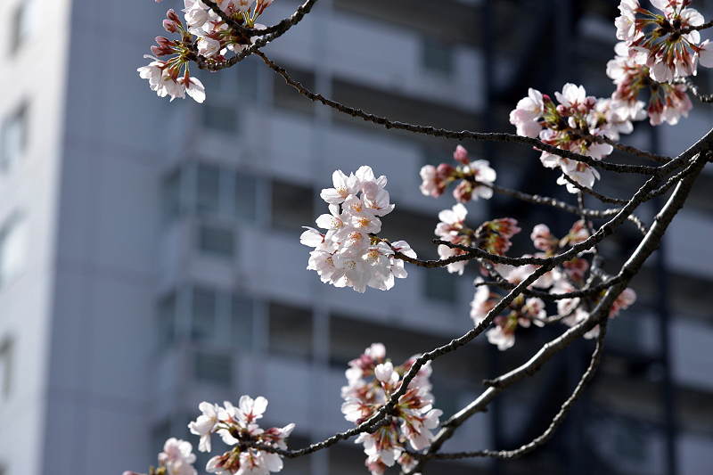 image0000