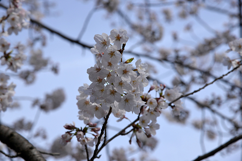 image0101