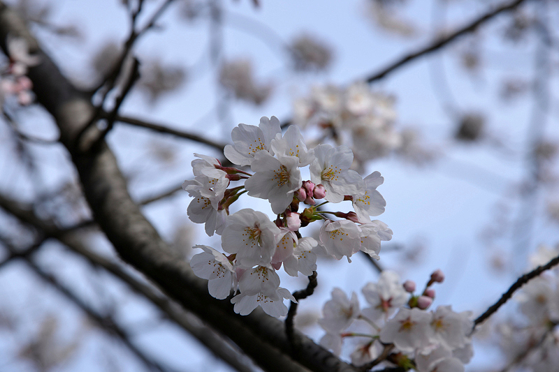 image0103