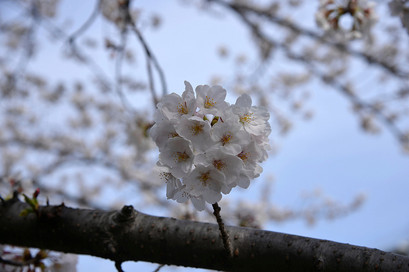image0118