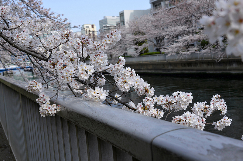 image0121