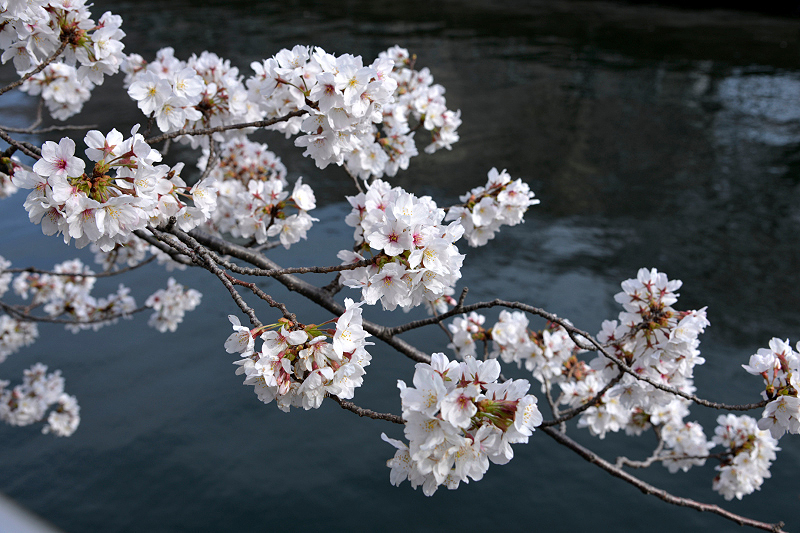 image0124