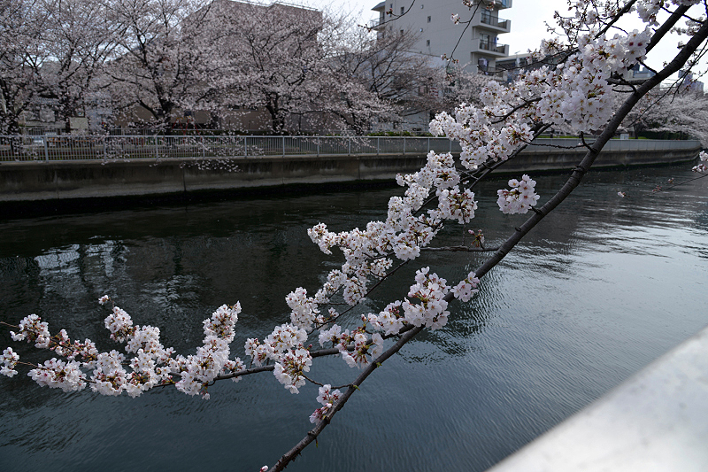image0129