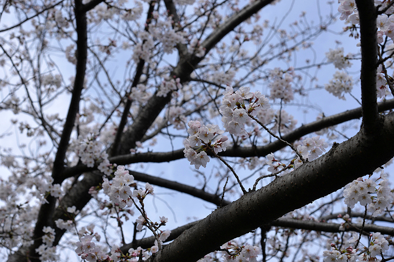 image0134