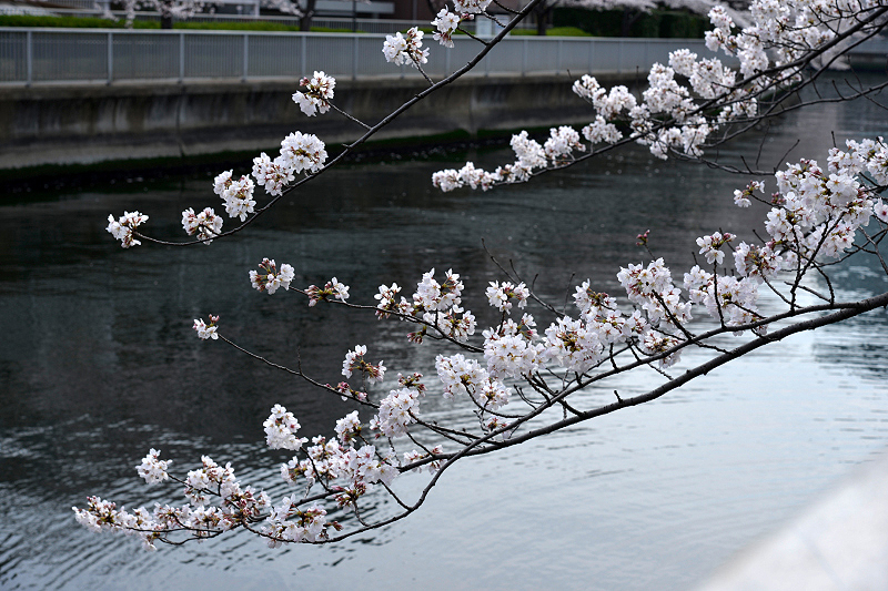 image0150