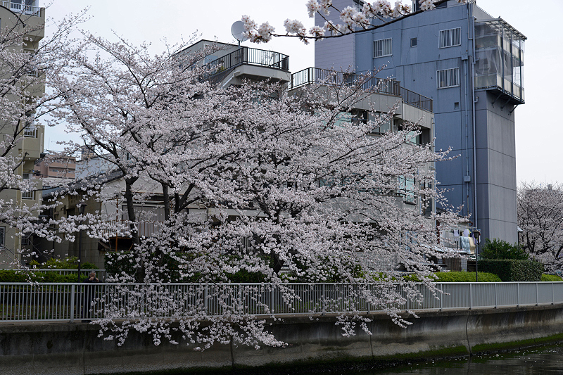 image0158