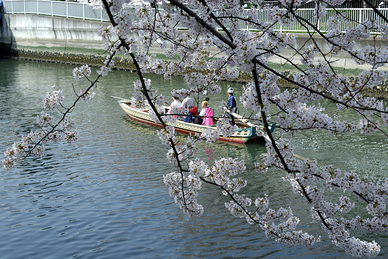 image0088