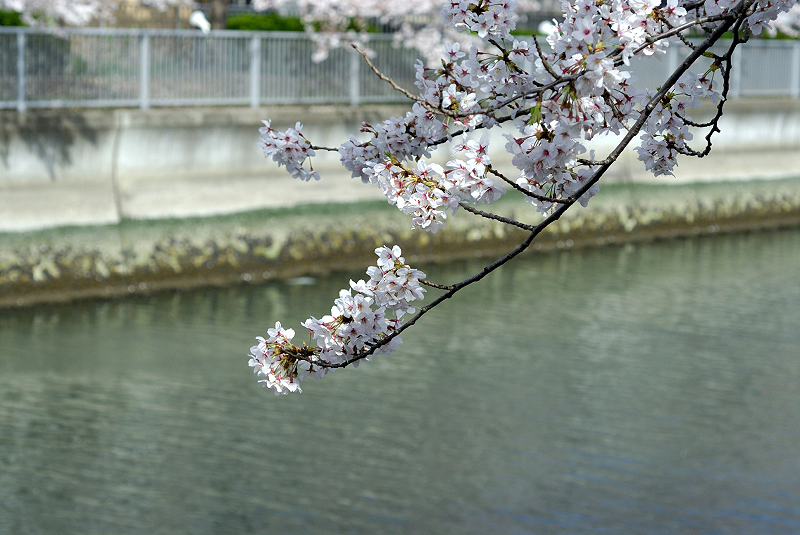 image0096