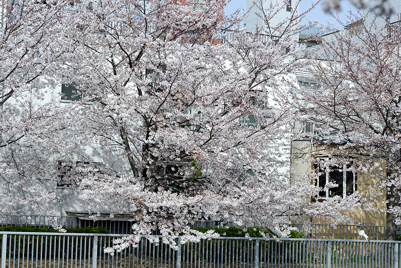 image0097
