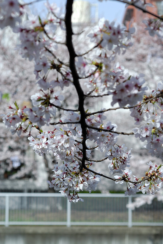 image0098