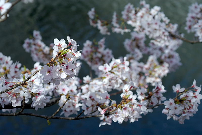 image0100