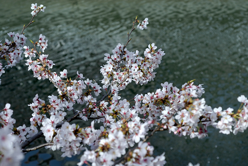 image0102