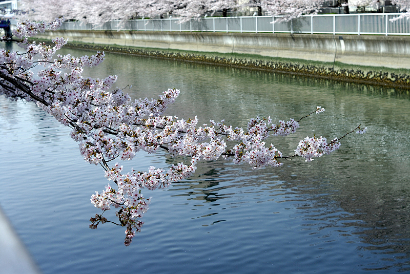 image0108
