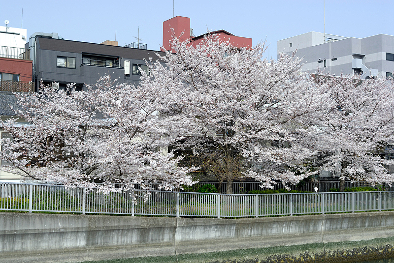 image0111