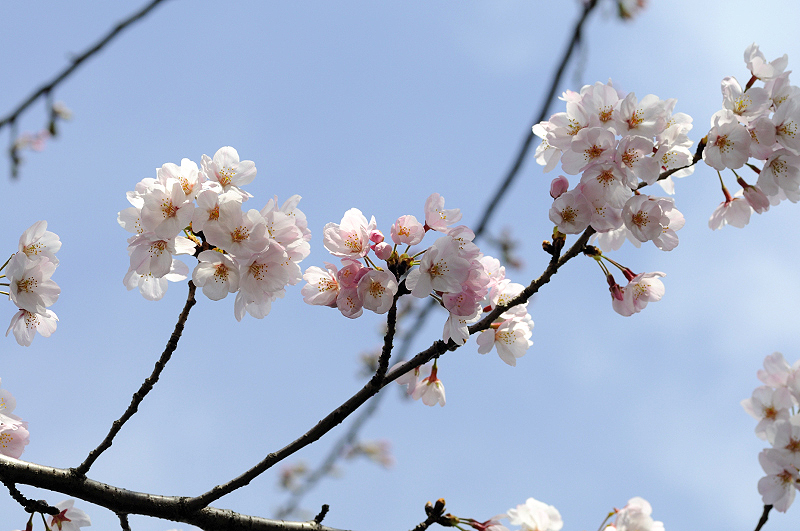 image0110