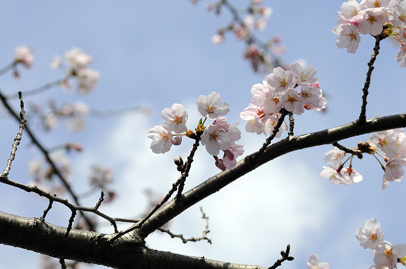 image0113