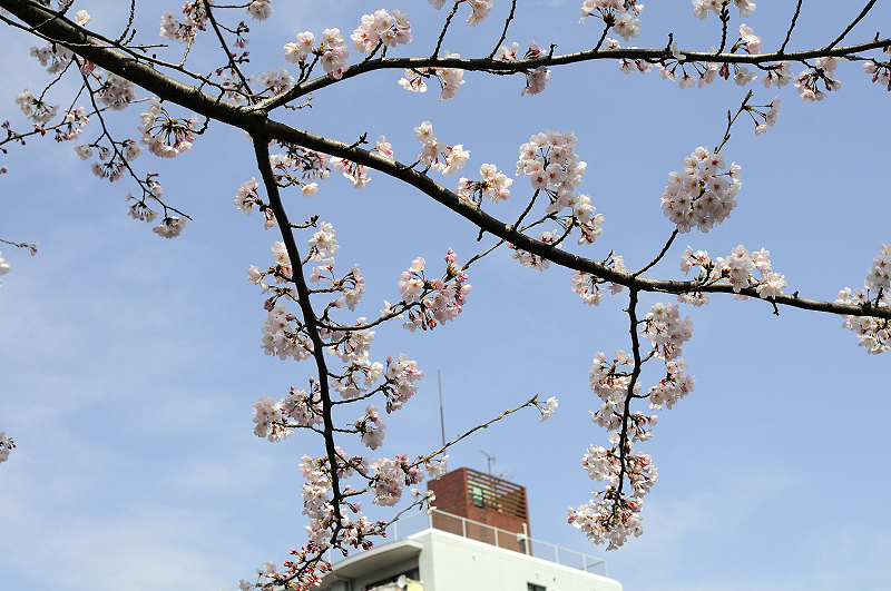 image0116