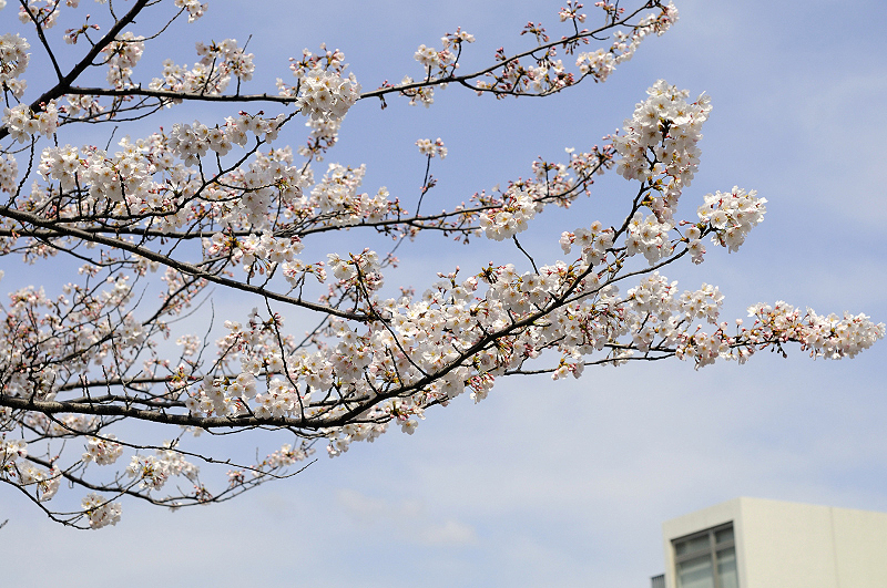 image0123